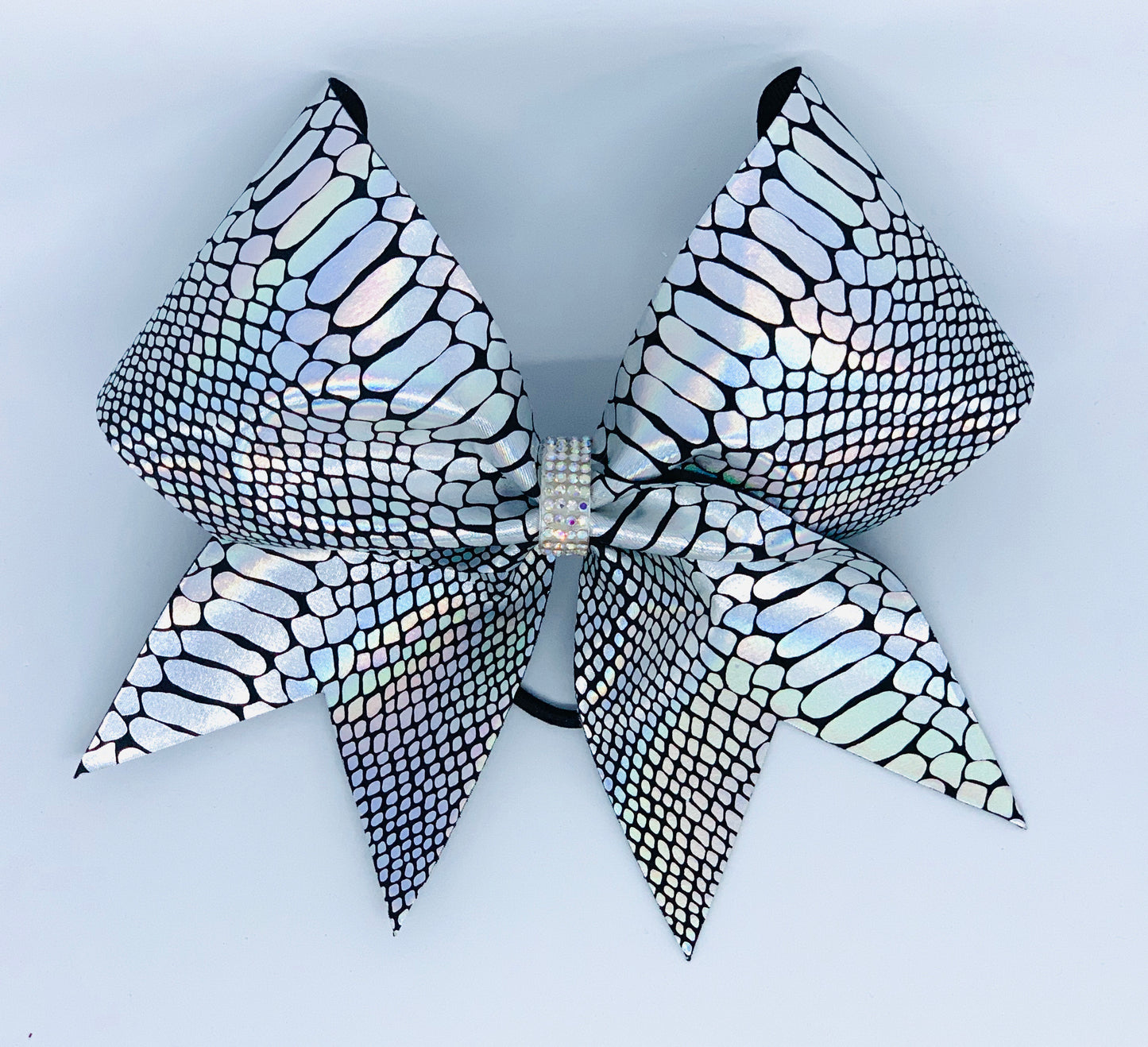 Holographic Snake